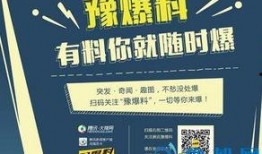 新闻网络爆料平台,新闻传播新势力崛起
